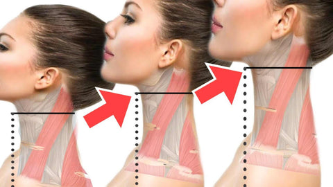 Jaw and Neck Are Connected: The Intrinsic Relationship You Need to Know