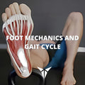 Foot Mechanics and Gait Cycle - Posturepro