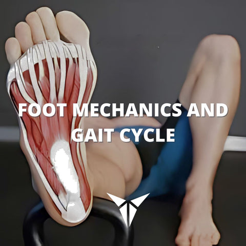 Foot Mechanics and Gait Cycle - Posturepro