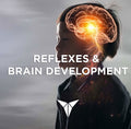 Reflexes & Brain Development - Posturepro