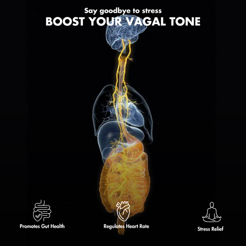 Vagal Activator: Ultimate Relaxation & Stress Reduction