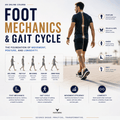 foot mechanics and gait cycle